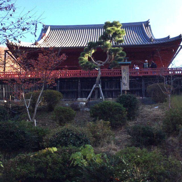 【上野の清水観音堂】　寛永寺の諸堂で、天海が創建した。歌川広重の浮世絵にも書かれた「月の松」