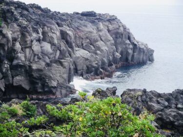 【城ケ崎海岸】　4,000年前の噴火が作ったリアス式海岸。夏季に訪れて、飛び回るつばめを見よう！