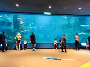 【和歌山県立自然博物館】　驚きなのですが、和歌山市内には水族館が一つもない