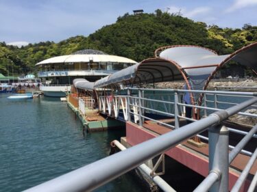 【下田海中水族館】　天然の入り江を使った個性的な水族館！　ゴマフアザラシのサクラコや、さかなクンのトークイベントを見た