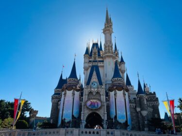 【東京ディズニーランド】　　やっぱり日本一のテーマパーク！　ディズニー・ハーモニー・イン・カラーや、エレクトリカルパレードなど、ショーが最高！